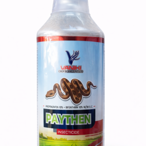 Paythen-1LTR