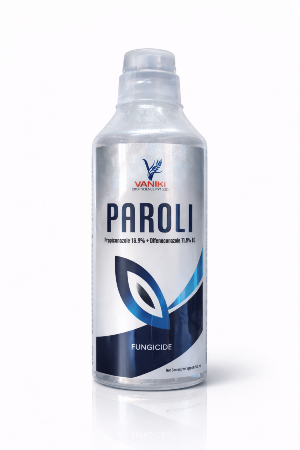 PAROLI-1LTR