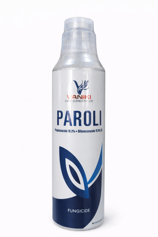 PAROLI-500ML