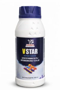 AZOXYSTROBIM 18.2% + DIFENOCONAZOLE 11.4% SC